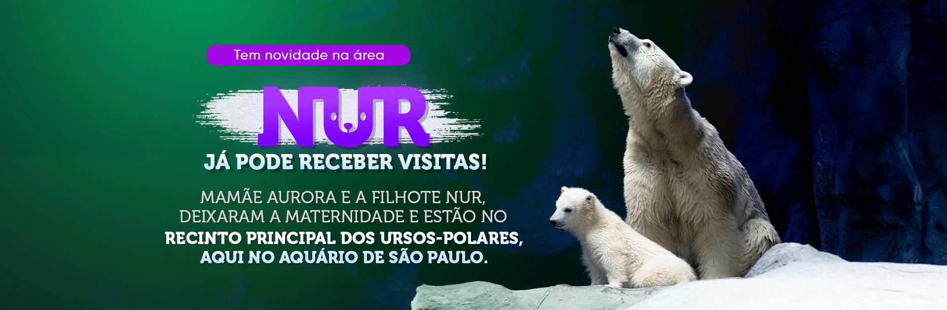 AquaRio - Tanque principal